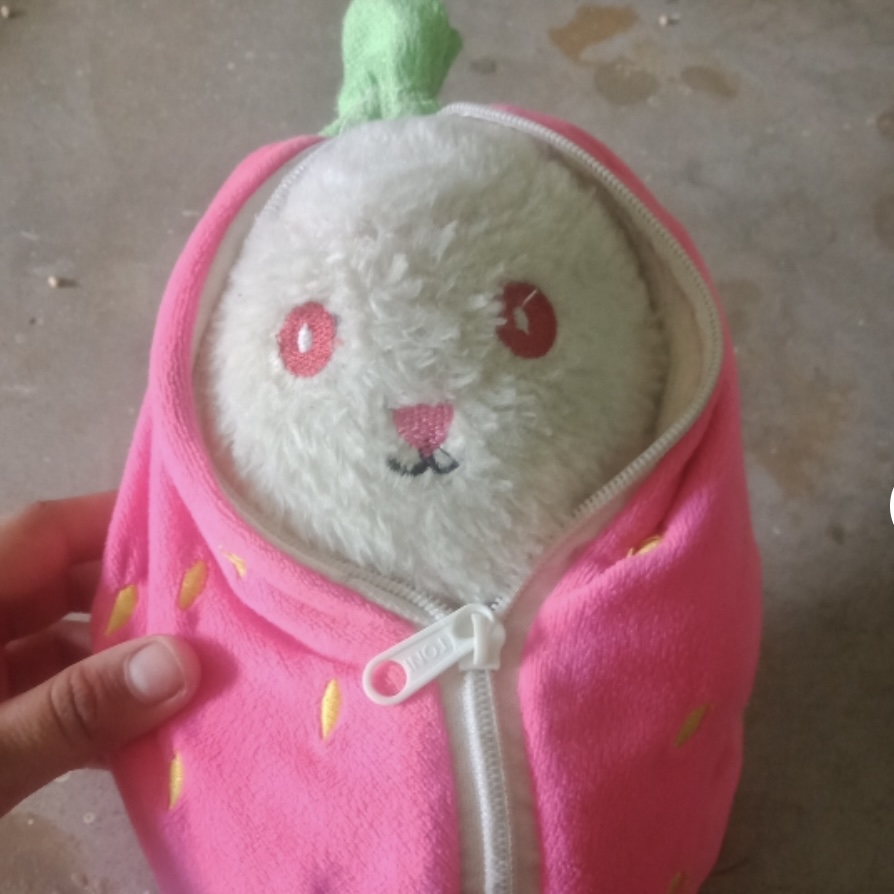 Strawberry Rabbit Plushie – Cute Pink Bunny Soft Toy