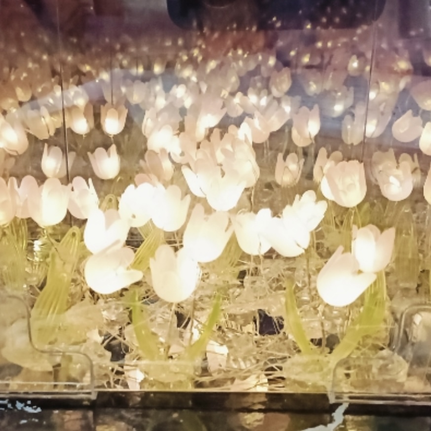 Tulip Cube Mirror Lamp – DIY LED Flower Decorative Light